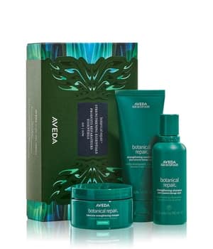 Aveda Botanical Repair Strengthening Essentials Rich Haarpflegeset