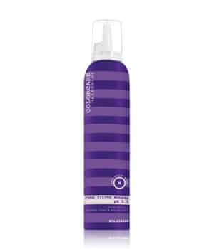 eLGON Colorcare Pure Silver Mousse Leave-in-Treatment