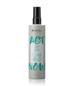 INDOLA ACT NOW! Setting Spray Föhnspray